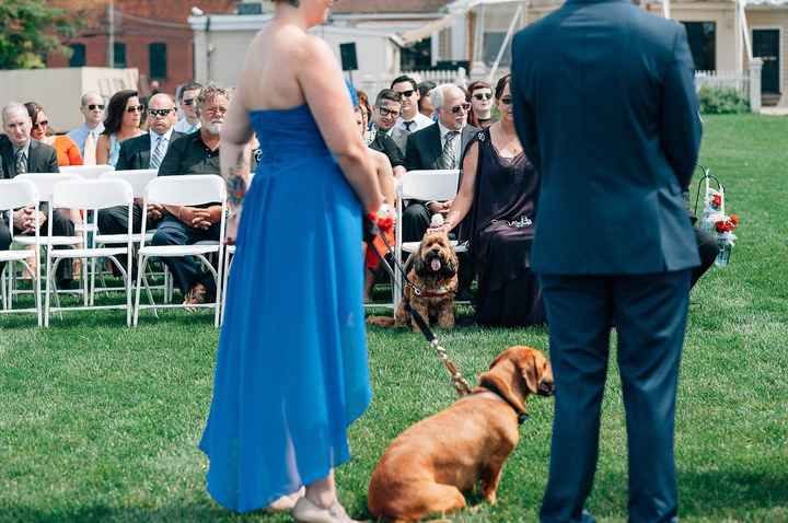 How many people are using your pets in your wedding?
