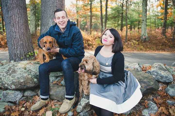 NWR: Professional Photos for your dog? Family Dog Photo? SHOW ME UR PET!