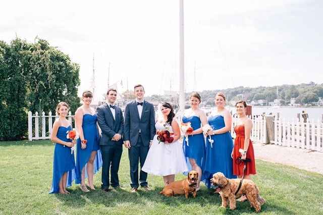 NWR: Professional Photos for your dog? Family Dog Photo? SHOW ME UR PET!