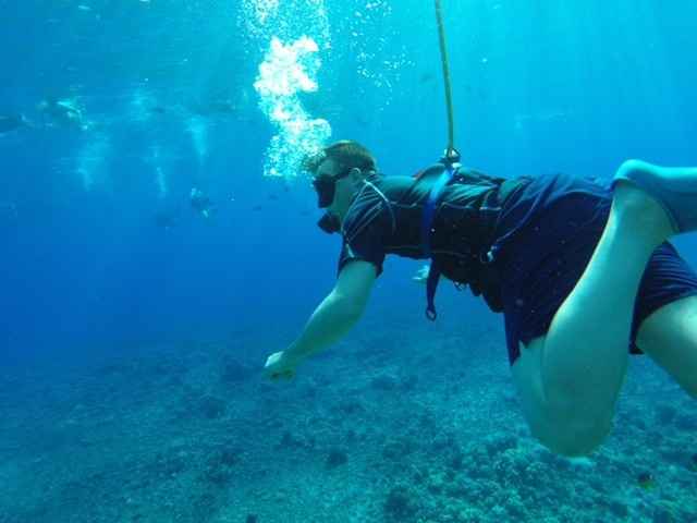 Does anyone own a GoPro Camera? Want for honeymoon - advice please!