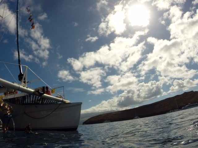 Does anyone own a GoPro Camera? Want for honeymoon - advice please!