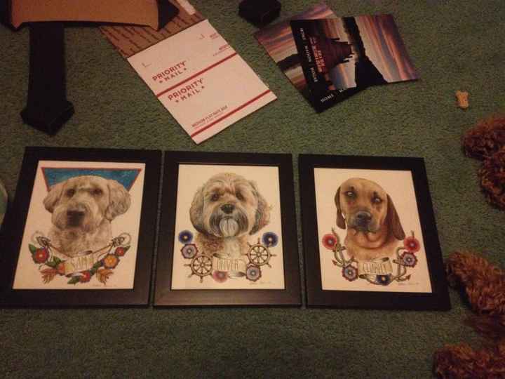 NWR: Furbaby owners... would you get this?