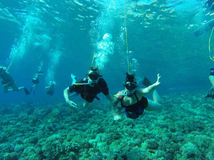 Honeymoon planning!! Hawaii or San Francisco
