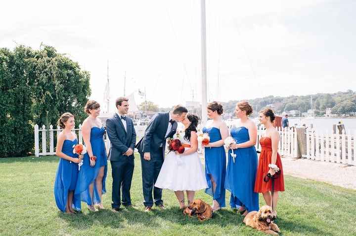 Dogs as part of bridal party?