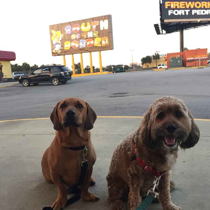NWR Show me your furbabies