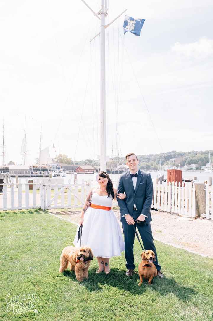 Pets in Pro Pics