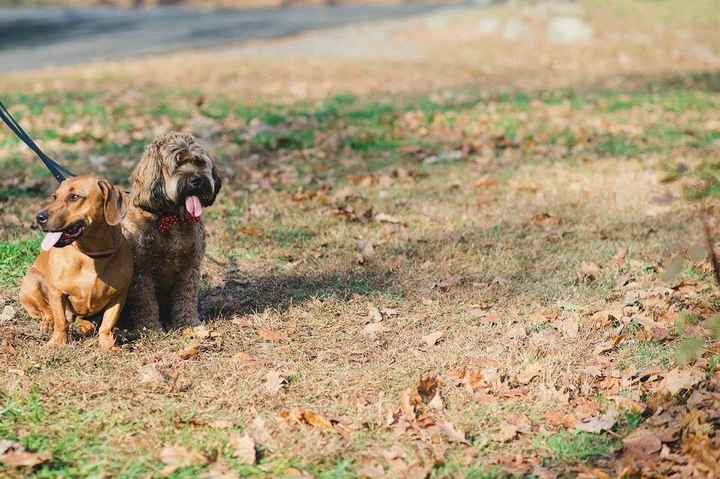 NWR Happy Fursday!!!