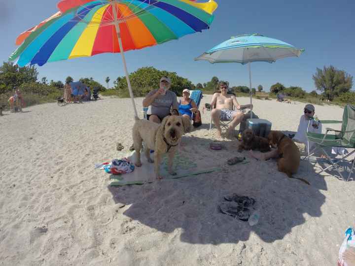 GoPro worth it?