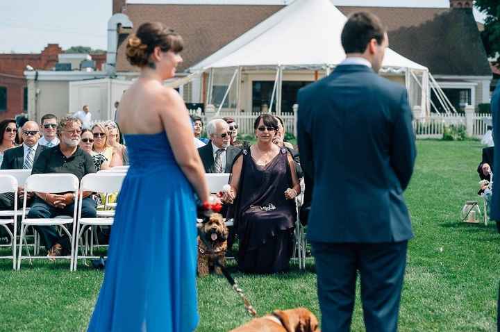 Adding puppy into wedding?