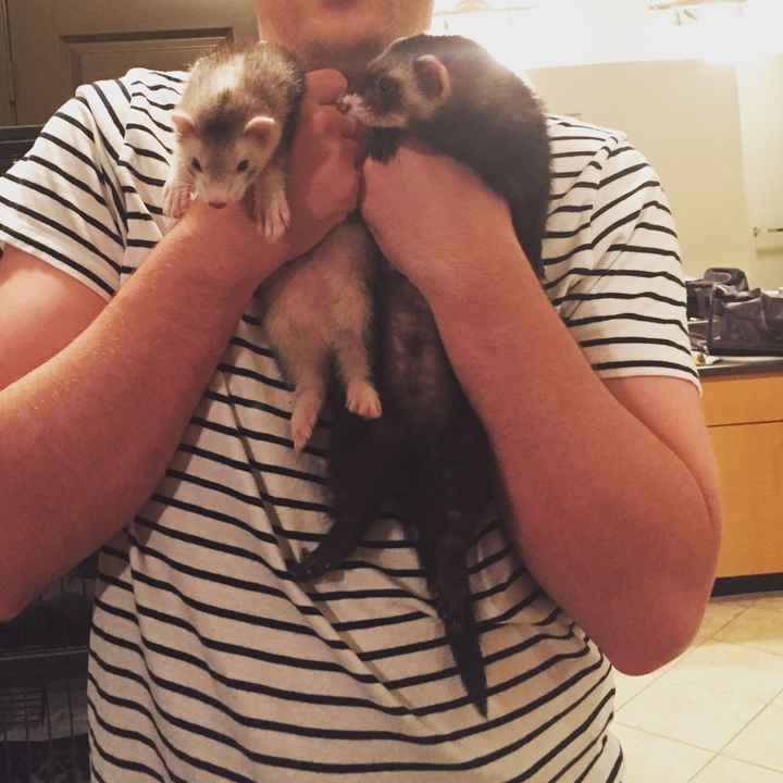 Nwr: got a new fuzzy baby