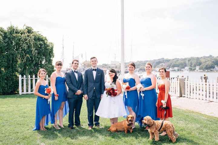 Furry Friends in the ceremony - Experiences?