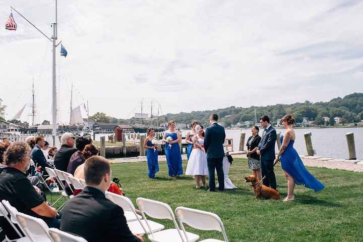 Animals in your wedding?