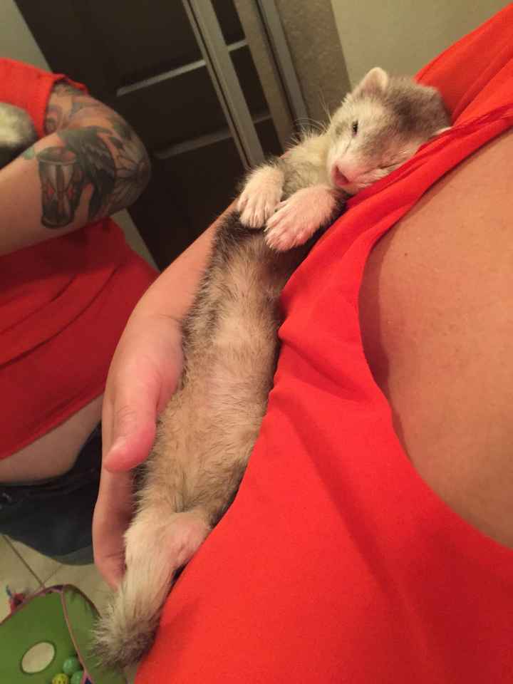 Nwr: got a new fuzzy baby