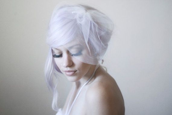 Birdcage veil