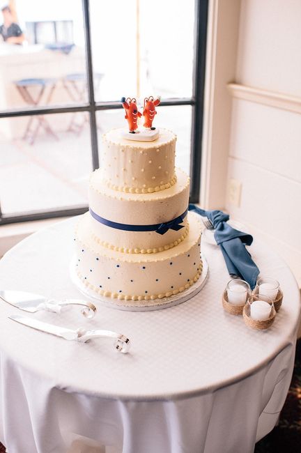Finally posting my BAM. (dogs in wedding, lawn games, melted wedding cake, my opinions on everything