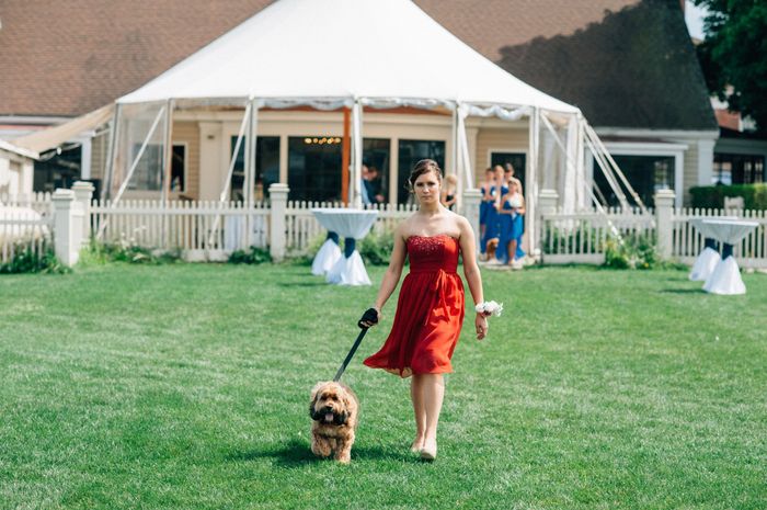 This is a pets in wedding thread.(I want to see pictures)