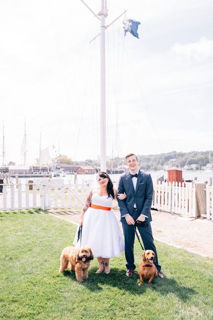 This is a pets in wedding thread.(I want to see pictures)