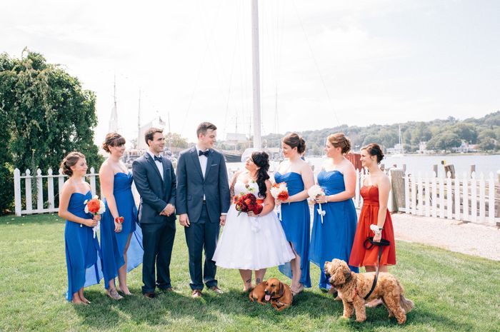 This is a pets in wedding thread.(I want to see pictures)