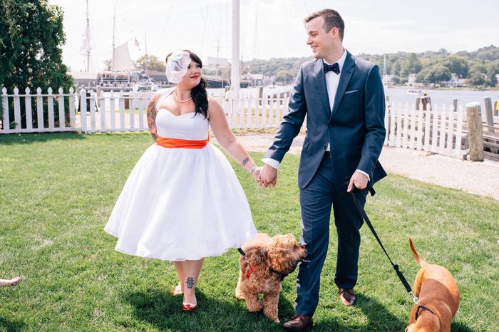 This is a pets in wedding thread.(I want to see pictures)