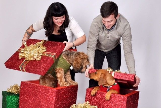NWR: Professional Photos for your dog? Family Dog Photo? SHOW ME UR PET!