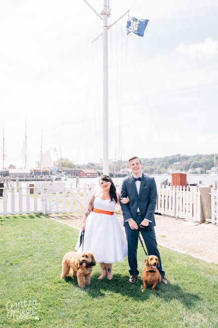 Pets at weddings!!