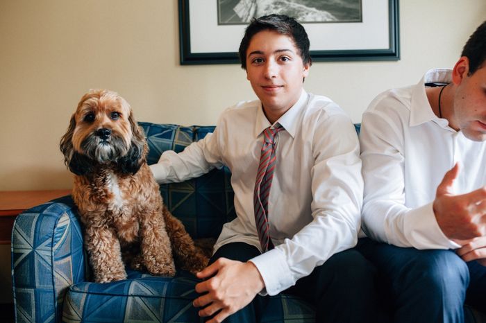 Pets In Wedding Photos!