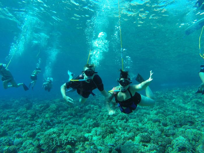 Honeymoon planning!! Hawaii or San Francisco