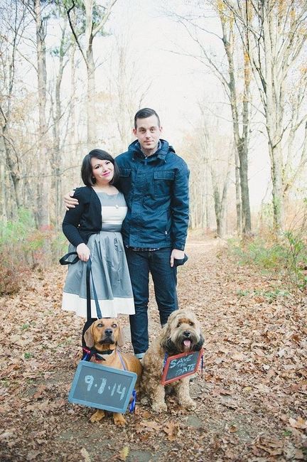 Show me pictures of how you included your dogs (STD, wedding, etc.) (: