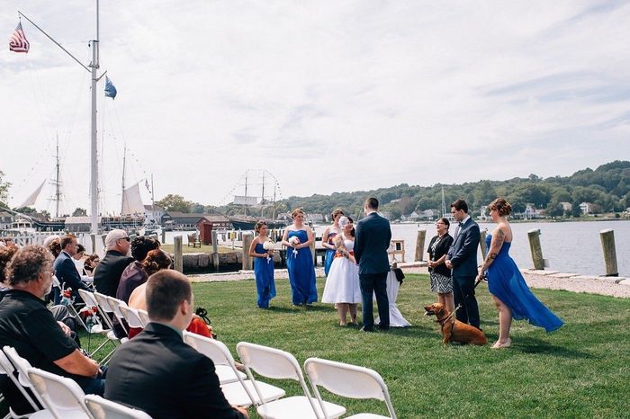 Animals in your wedding?