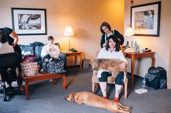 This is a pets in wedding thread.(I want to see pictures)