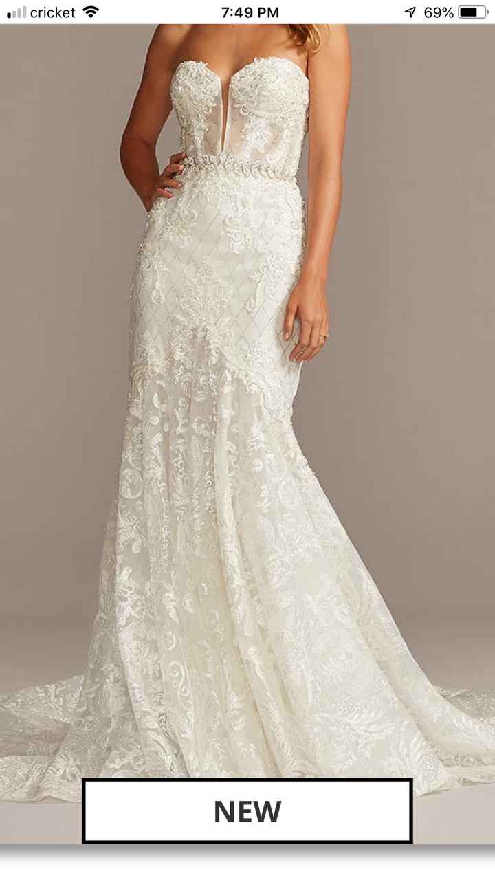 Dress help . Shape-wear , bra , veil ?? - 3