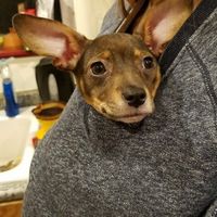 NWR today has been literal shit