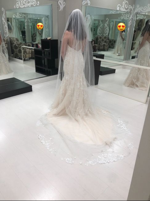 Dress Fitting! - 2