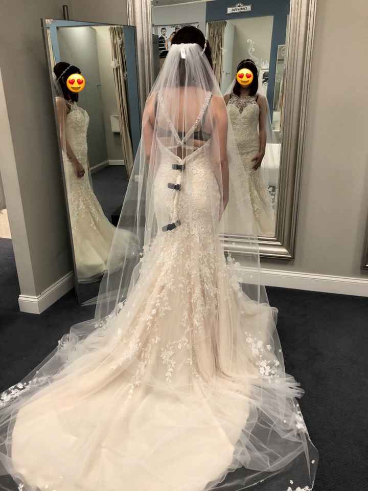 Bra help with dress - 2