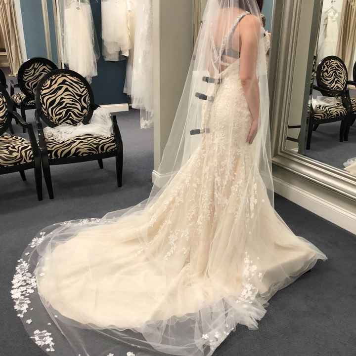 Veils - 1