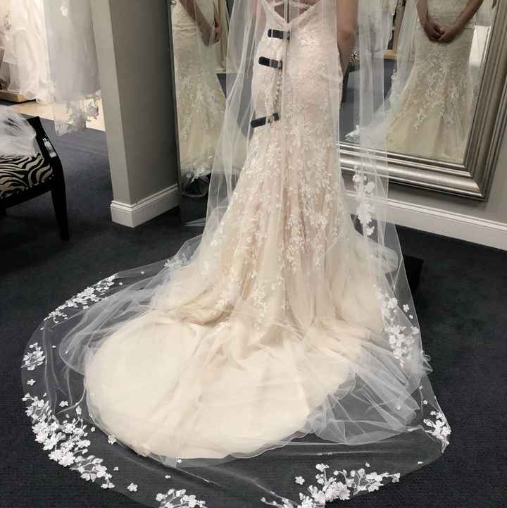 Veil help - 1