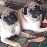 Lets see those pets!!! (NWR)