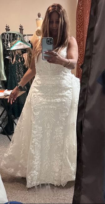 Bustle Mermaid Dress 2