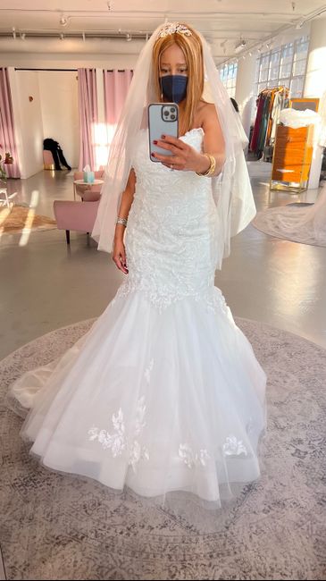 Would love your opinion! Multiple wedding dresses? 4
