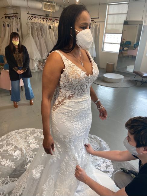Would love your opinion! Multiple wedding dresses? 6