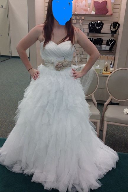 Show me your Davids Bridal dresses:)