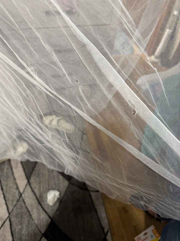 Emergency Dress Repair - 1
