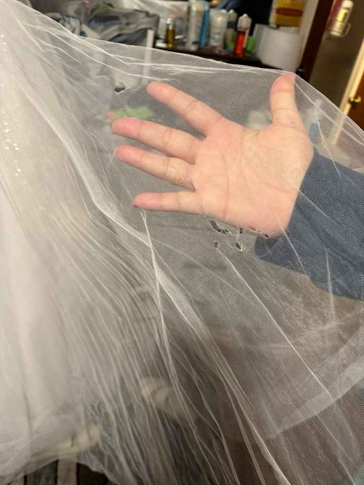 Emergency Dress Repair - 2