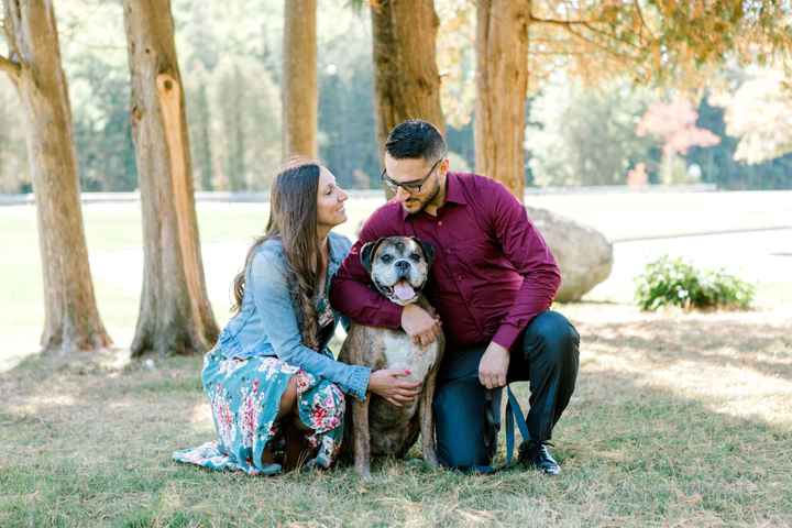 Show me your engagement photos! - 1