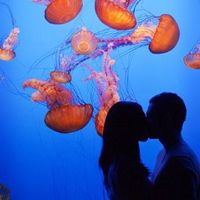 Would my Dress clash with my Venue?