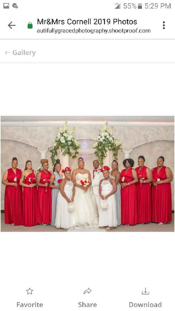 Pro Bam sneak Peak! - 7