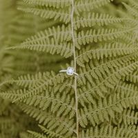2024 Brides - Show us your ring! - 1