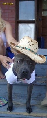 NWR: Lets see our pets!!