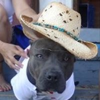 NWR: Lets see our pets!!
