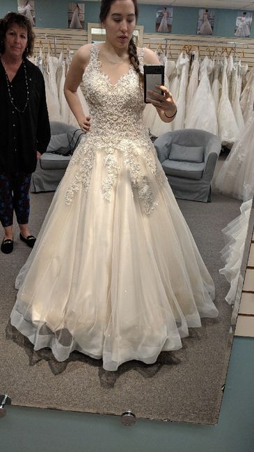 First Bridal Appointment Today - 3